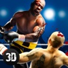 Real Punch Box Fighting 3D Full