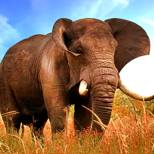 Real Stray Wild Angry Elephant Simulator iOS App