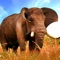 Real Stray Wild Angry Elephant Simulator