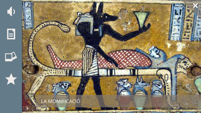 Screenshot #3 pour Museu Egipci de Barcelona