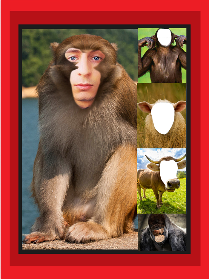 Place Your Face On Animals Body - Make Yourself Wild And Yourself  Tiger and Lion Figure  TRY