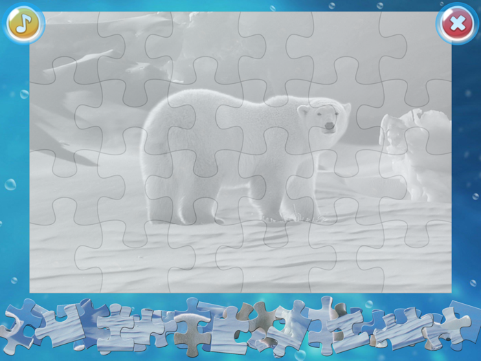 Arctic Animals Puzzle