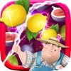 Fruit Garden - Farm Story