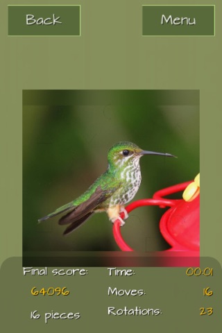 Hummingbirds Jigsaw Puzzles screenshot 4