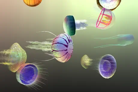 Jelly Dream