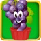 Catch The Fruit - Fill Fruit In Basket, Fruit Mania Puzzle Game