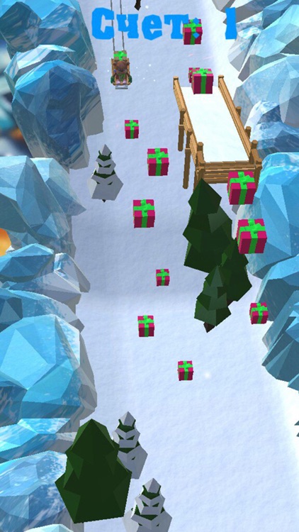 Зимняя гонка