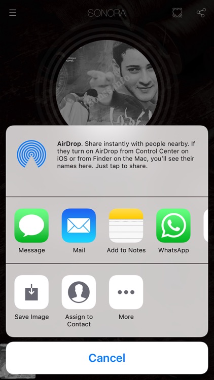 Play It Music Player screenshot-3