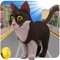 Animals Dash Endless City Rush: Animals Runner Adventure Free