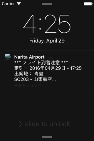 日本成田国際空港 フライト情報 - náhled