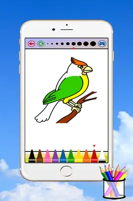 Game screenshot Bird Coloring Book For Kids mod apk