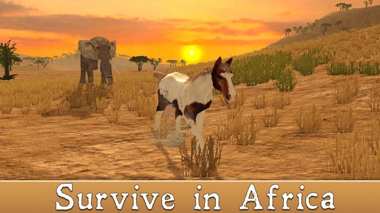 Wild African Horse: Animal Simulator 2017 screenshot-1