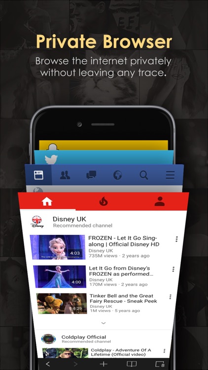 Secret Photo Vault Pro- Hide Your Personal Photos & Lock Videos with Private Browser
