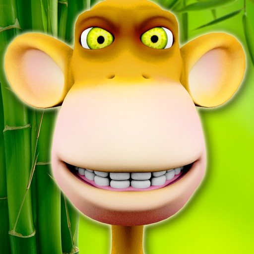 Monkey in a Box iOS App