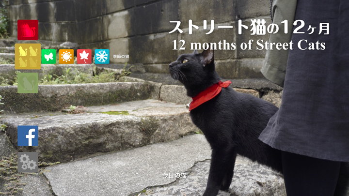 Screenshot #1 pour 12 months of Street Cats