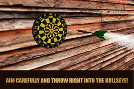 Game screenshot Darts Master Championship 3D apk