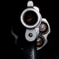 Gun sounds 1 pour PC