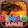 Bingo Safari