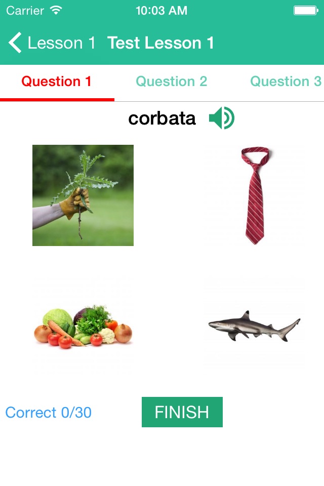 Learn Spanish By Picture and Sound - Easy to learn Spanish Vocabulary screenshot 4