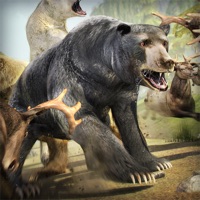 Bear Simulator 2016 . Wild Bears Simulation Games For Kids Free pour PC