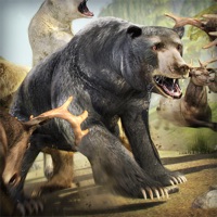 Bear Simulator 2016 . Wild Bears Simulation Games For Kids Free apk