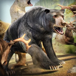Bear Simulator 2016 . Wild Bears Simulation Games For Kids Free