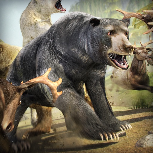Bear Simulator 2016 . Wild Bears Simulation Games For Kids Free icon