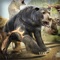 Bear Simulator 2016 . Wild Bears Simulation Games For Kids Free