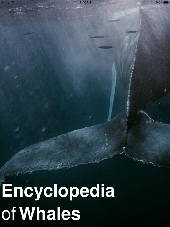CHI Encyclopedia of Whales