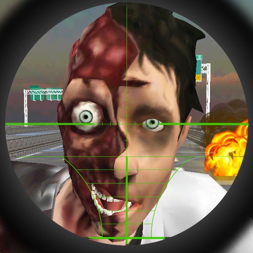 A Zombie Sniper - Highway War Free icon