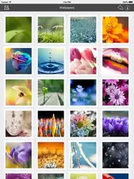 Wallpaper Collection Macro Edition ipad bilder 0