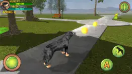 rottweiler dog life simulator iphone screenshot 4