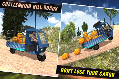 Off Road Tourist Auto Rickshaw screenshot 2