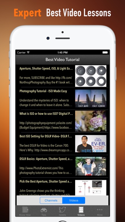 ISO Setting for  Beginners:Guide and Tips