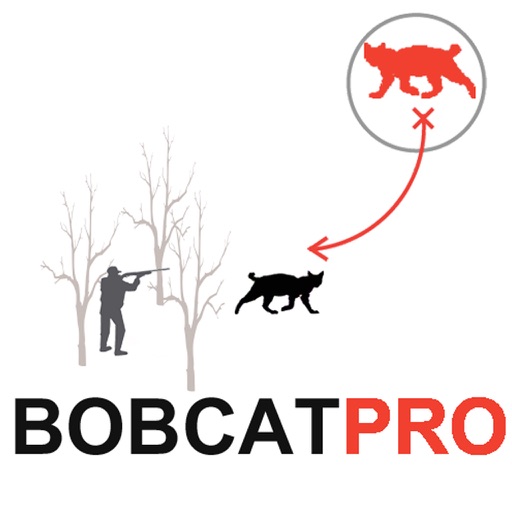 Bobcat Hunting Strategy Bobcat Hunter Plan for PREDATOR HUNTING