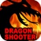 Fire Dragon Shooter - Free Archery Shooting Game For Kids