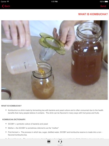KOMBUCHA Made Easy! How to Make Kombucha Tea - (Ad Free) Your First Home Brew With Probiotics! screenshot 3
