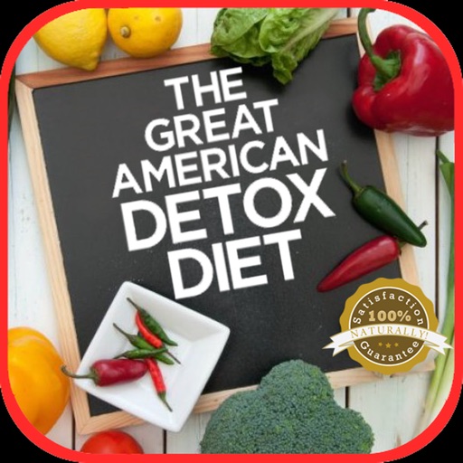 Detox Diet Plan Icon