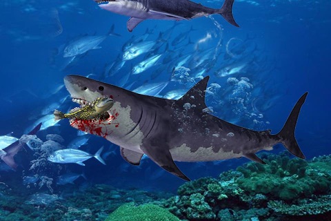 Hungry Shark Hunting Real Water UnderWorld screenshot 3