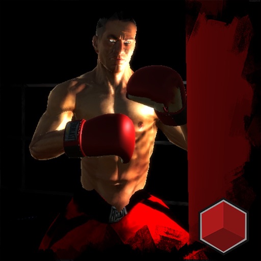 boxing World Championship 3D icon