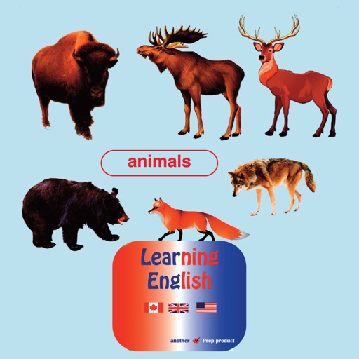 Animals ESL