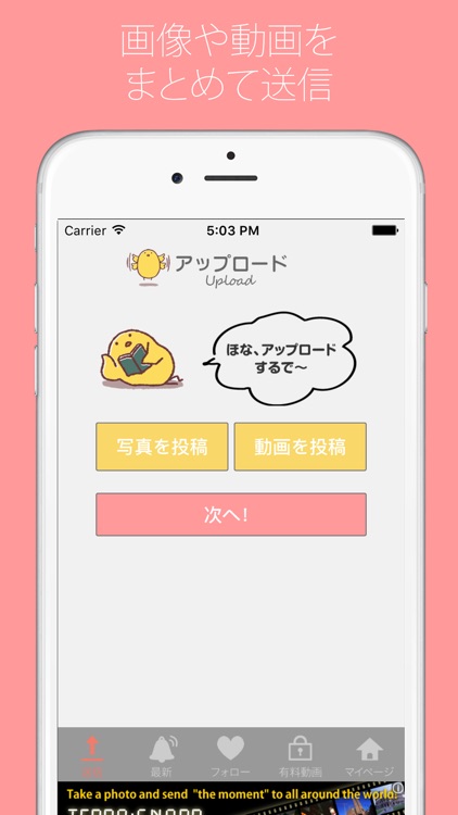 ひよこ動画 - 動画をみんなに共有！販売もできる！ - screenshot-3