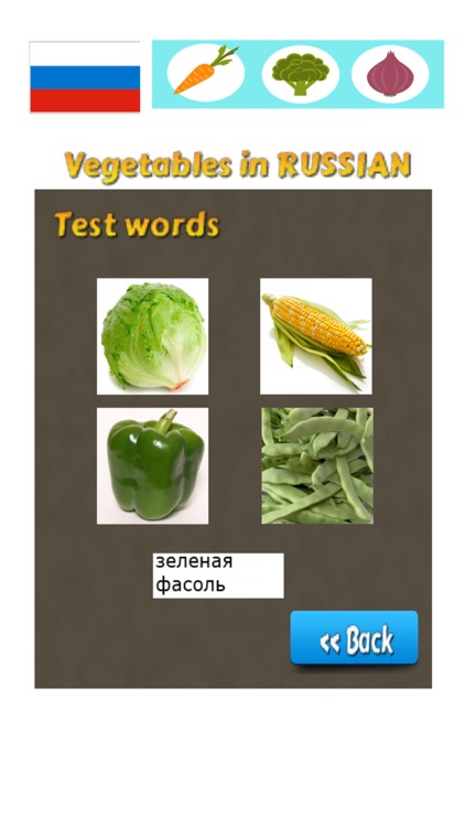 Learn Russian Words - Vegetable Names screenshot-3