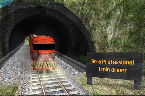 Real City Bullet Train Driver Simulator 2017 - Future Train and Transportation screenshot 4