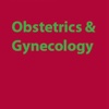 Obstetrics Terminology and Study Guide: Learning Course with Flashcards