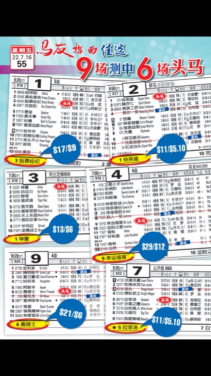 Punters' Way (Chinese) 马友指南 screenshot-3