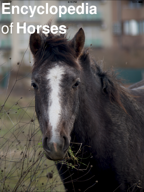 CHI Encyclopedia of Horses iPad screenshot 1 - Education app