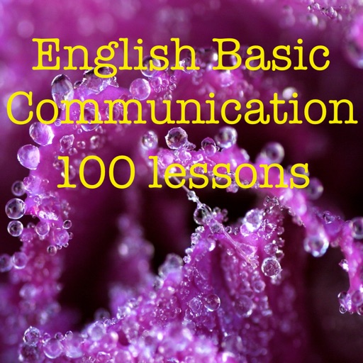 English Basic Communication icon