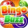 Bingo Buzz - Multiple Daubs With Real Vegas Odds