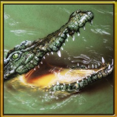 Activities of Wild Hungry Crocodile 3D. Swamp Aligator Attack in WildLife Simulator 2016
